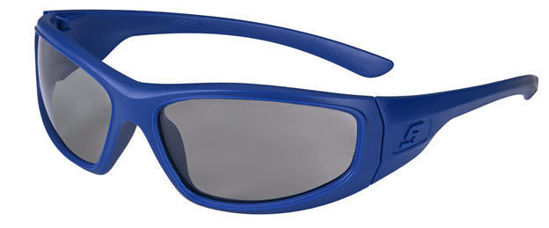 Snap-on - SOSG04BLLD03 - Expedition Series Safety Glasses - Blue Frame with Light-To-Dark Lens