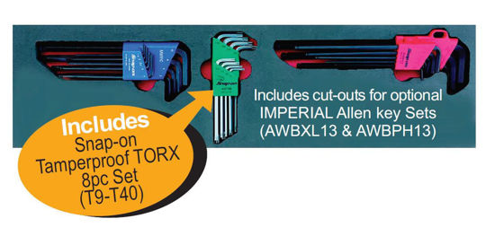 Snap-on XXAPR199 Ball Hex Allen Key sets  in Visual Foam control insert  includes Snap-on  Tamperproof TORX  8pc Set  (T9-T40)